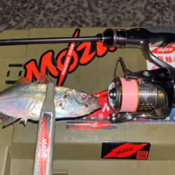 期間限定ポイント