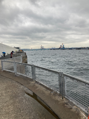 本牧海釣り施設 粘り勝ち