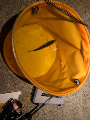 ボウズは逃れたが…