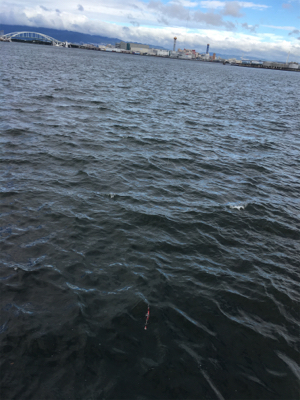 極悪天候ショアジギング