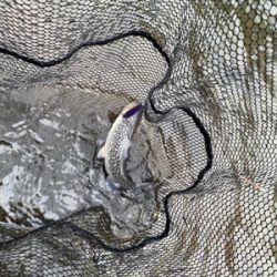 黒保根渓流フィシング