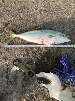 釣座の問題だった