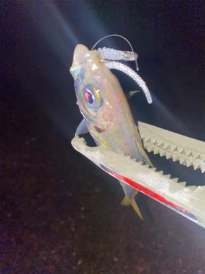 18ステラ 復帰戦