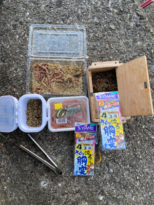 ガシラ、グレ、カワハギ