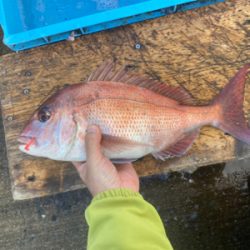 時合いは一瞬、延長不発