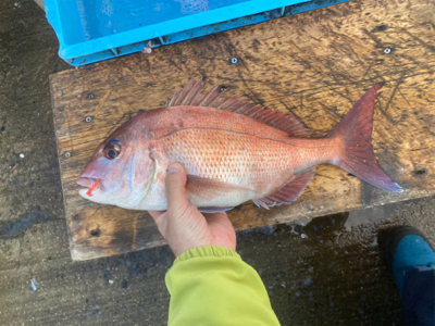 時合いは一瞬、延長不発