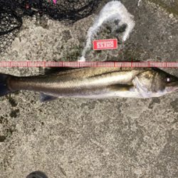 秋らしくなってきました!