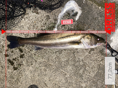 秋らしくなってきました!