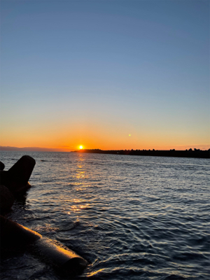 カマスでございます！