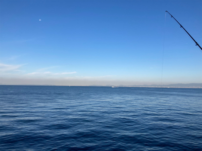 初めてのサワラサイズ