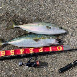 ショアジギリベンジ・アジング釣行♪