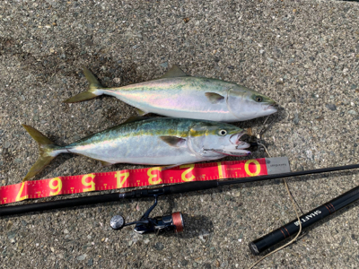 ショアジギリベンジ・アジング釣行♪