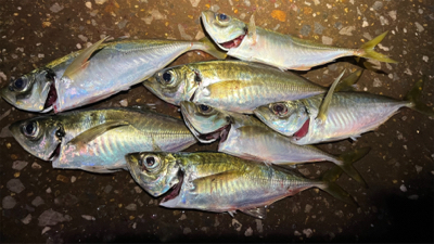 潮が止まるまで