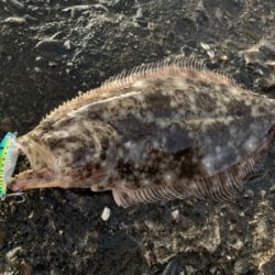 サーフ第二戦。