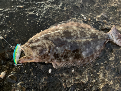 サーフ第二戦。