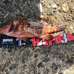 小木港　沖堤防