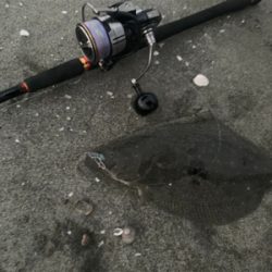 サーフ第三戦。