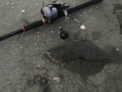 サーフ第三戦。