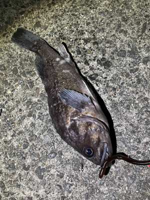 ナイトロからの朝マヅメ！