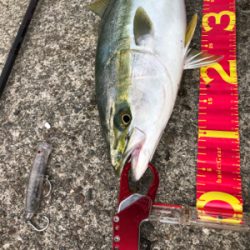 粘り勝ち(・⊝・)v