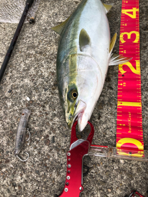 粘り勝ち(・⊝・)v