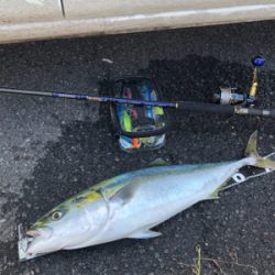 寄り道したら釣れちゃいました！