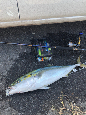 寄り道したら釣れちゃいました！