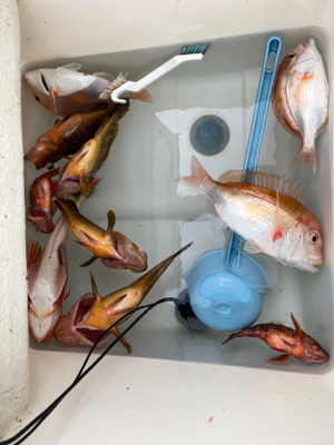 マイボート釣行