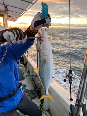 明石沖ジギング