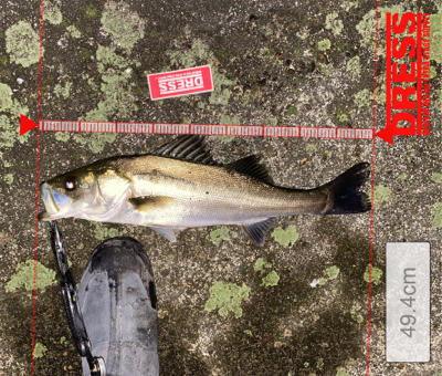 サイズよりも重さ？