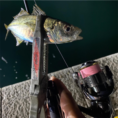 遠投からの落パク