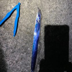 渋めのタチウオ