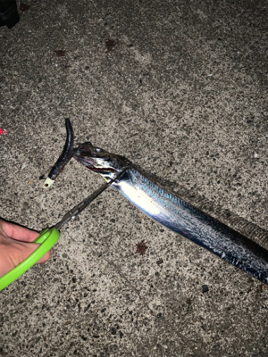 当たるが乗せきれない…