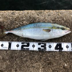 休暇村南淡路オートキャンプ場