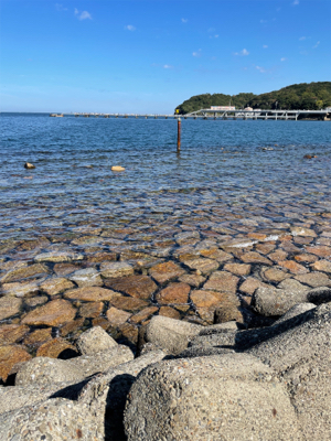 エギングのはずが穴釣り