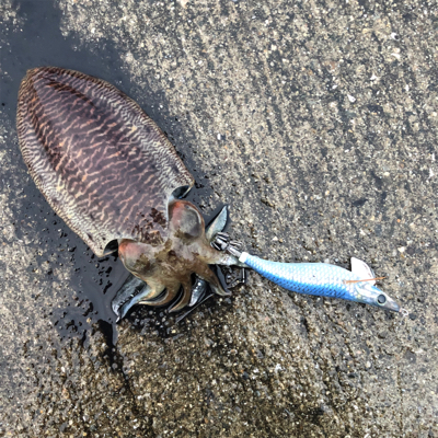 アメングでの1杯