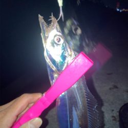 2021ライトゲーム第33戦