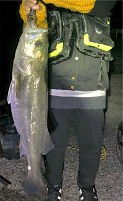 スズキくんとハマチくん