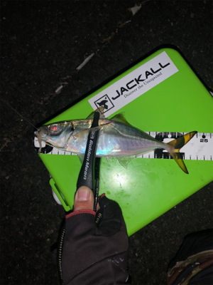 ショアジギでまさかの！