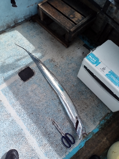 あと7cmでドラゴン級