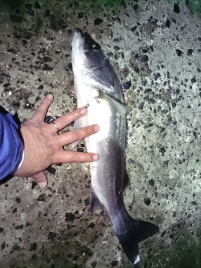 久しぶりに朝練