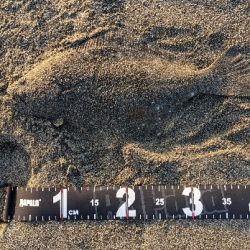 アシストフック