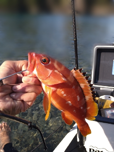 SUP FISHING