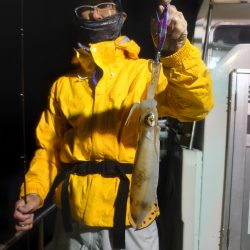 初めてのナイトティップラン