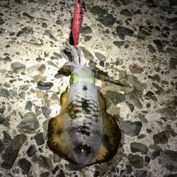 とてもシブかった