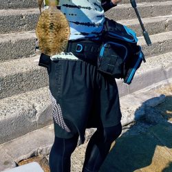 久々のエギング投稿