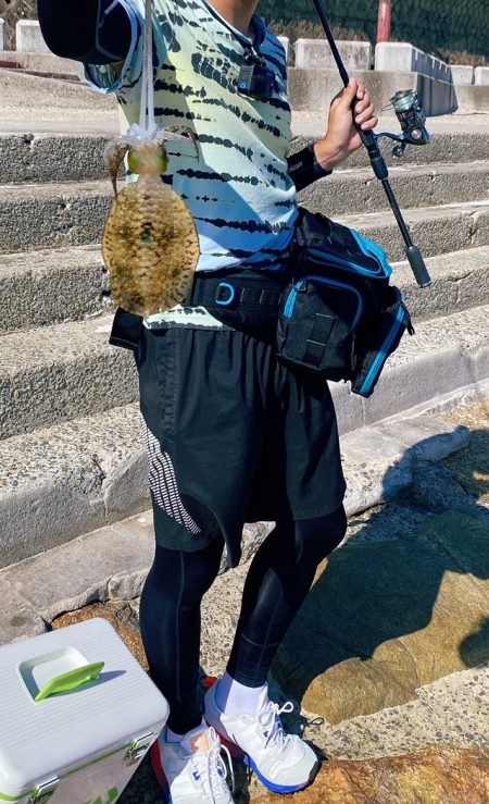 久々のエギング投稿