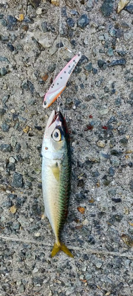 西宮ケーソンでサバゲー