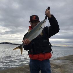 西宮ケーソン ギリギリメジロ上がりました