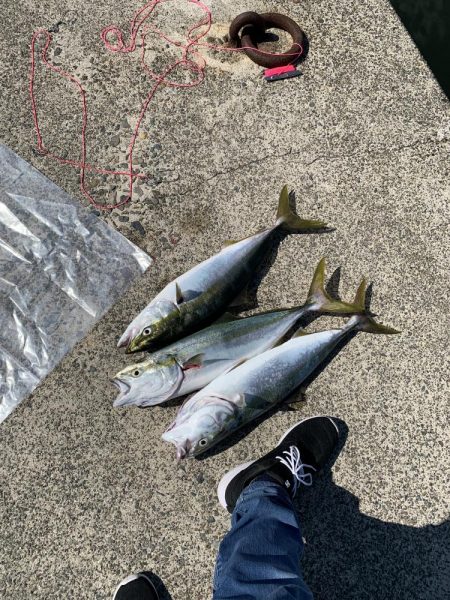 青物祭り開催中